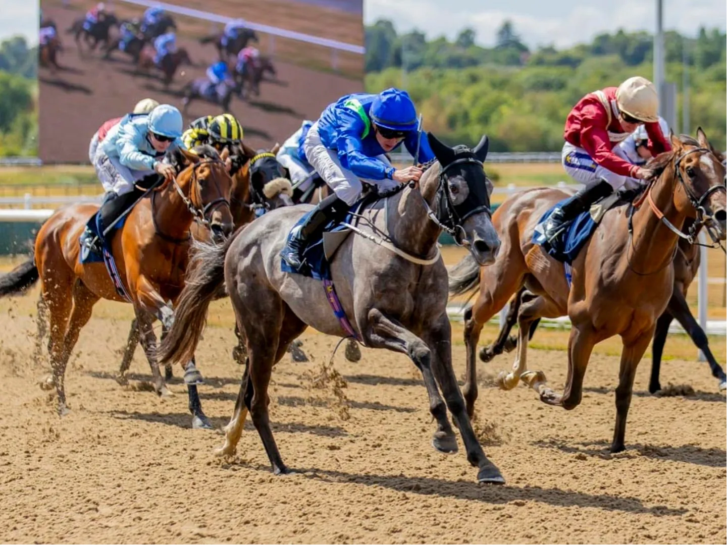 Wolverhampton Autumn Evening Racing