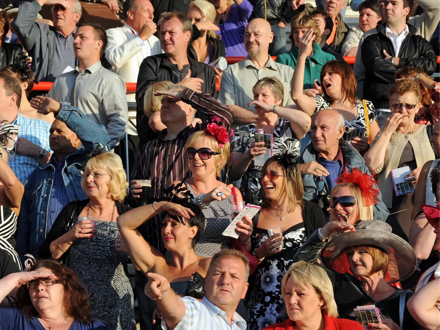 Wolverhampton Racecourse all-weather racing crowd