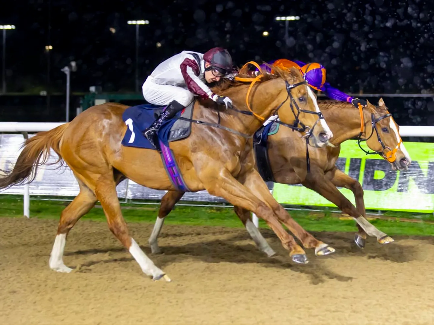 Spring floodlit racing at Wolverhampton Racecourse