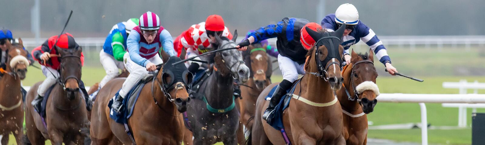 Live all weather racing at Wolverhampton Racecourse