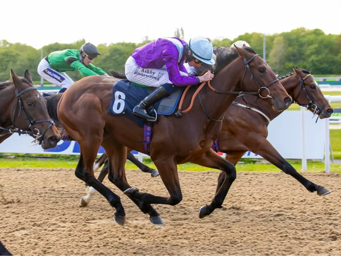 Spring Afternoon Racing at Wolverhampton Racecourse