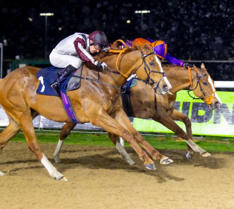 Autumn Nights Under The Lights floodlit racing at Wolverhampton