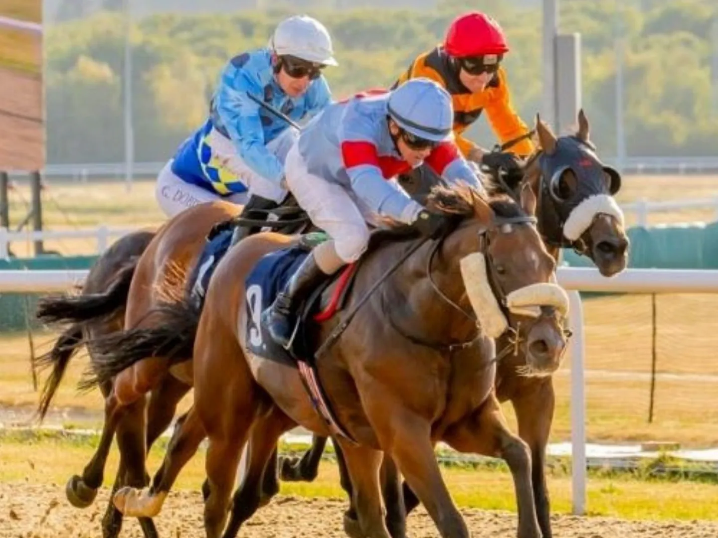 Wolverhampton Racecourse all weather flat racing west midlands