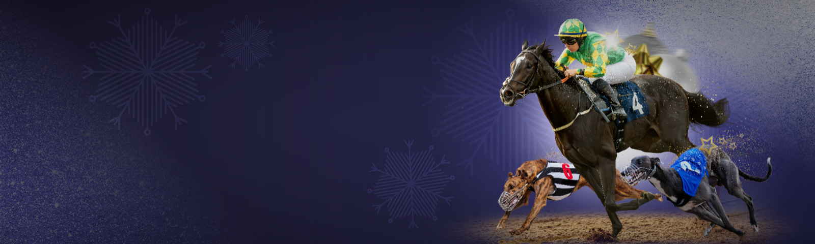 Christmas at Wolverhampton Racecourse Festive Fixtures