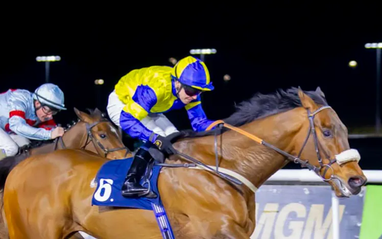 Yorkshire Glory riding at Wolverhampton
