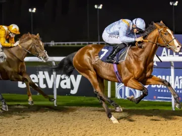 Horses race under the lights at Wolverhampton Racecourse