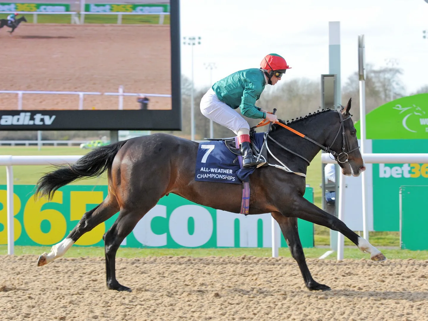 Summer Holidays afternoon racing at Wolverhampton