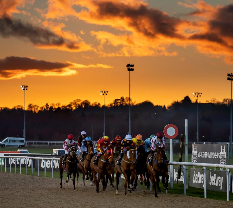 Sunset Racing at Wolverhampton Racecourse