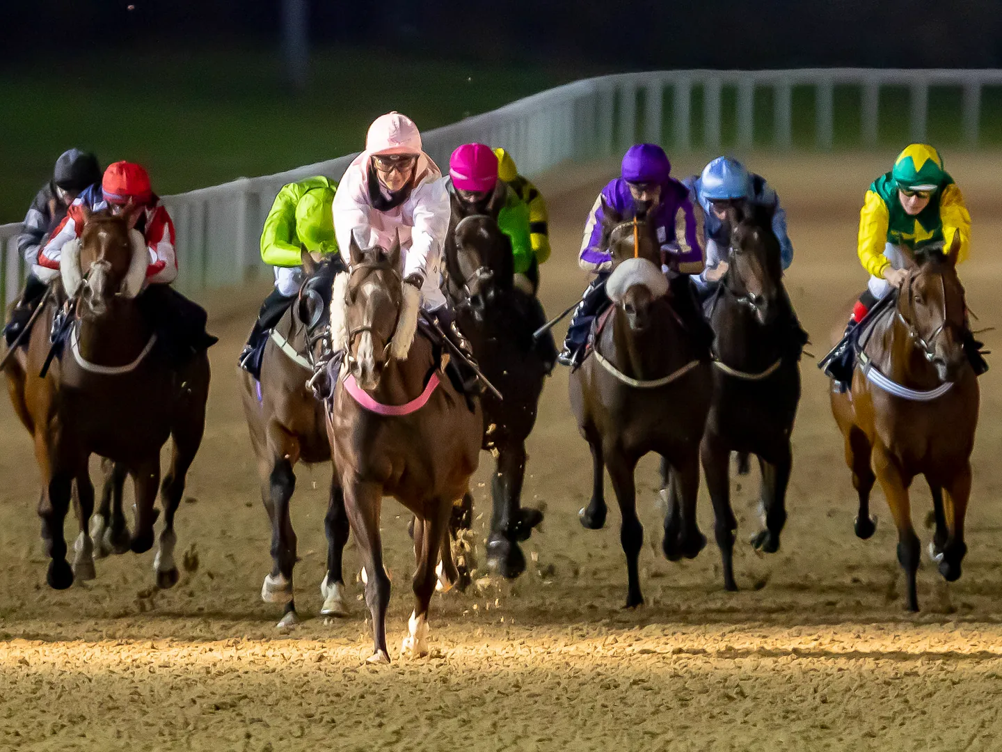 Winter Nights Under The Lights racing at Wolverhampton Racecourse