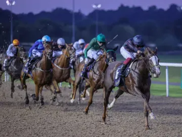 Horses racing along the all weather track at Wolverhampton Racecourse