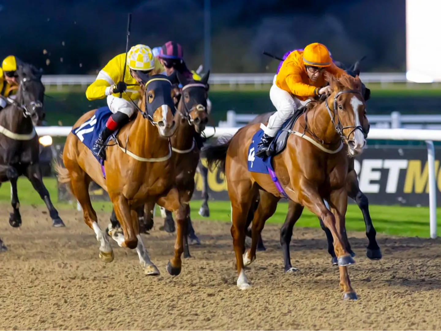 Tuesday night racing at Wolverhampton Racecourse