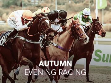 Autumn Evening Racing