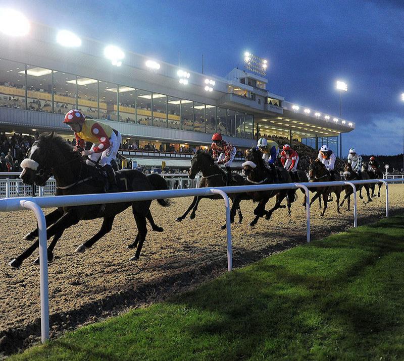 Boxing Day Racing Wolverhampton Racecourse
