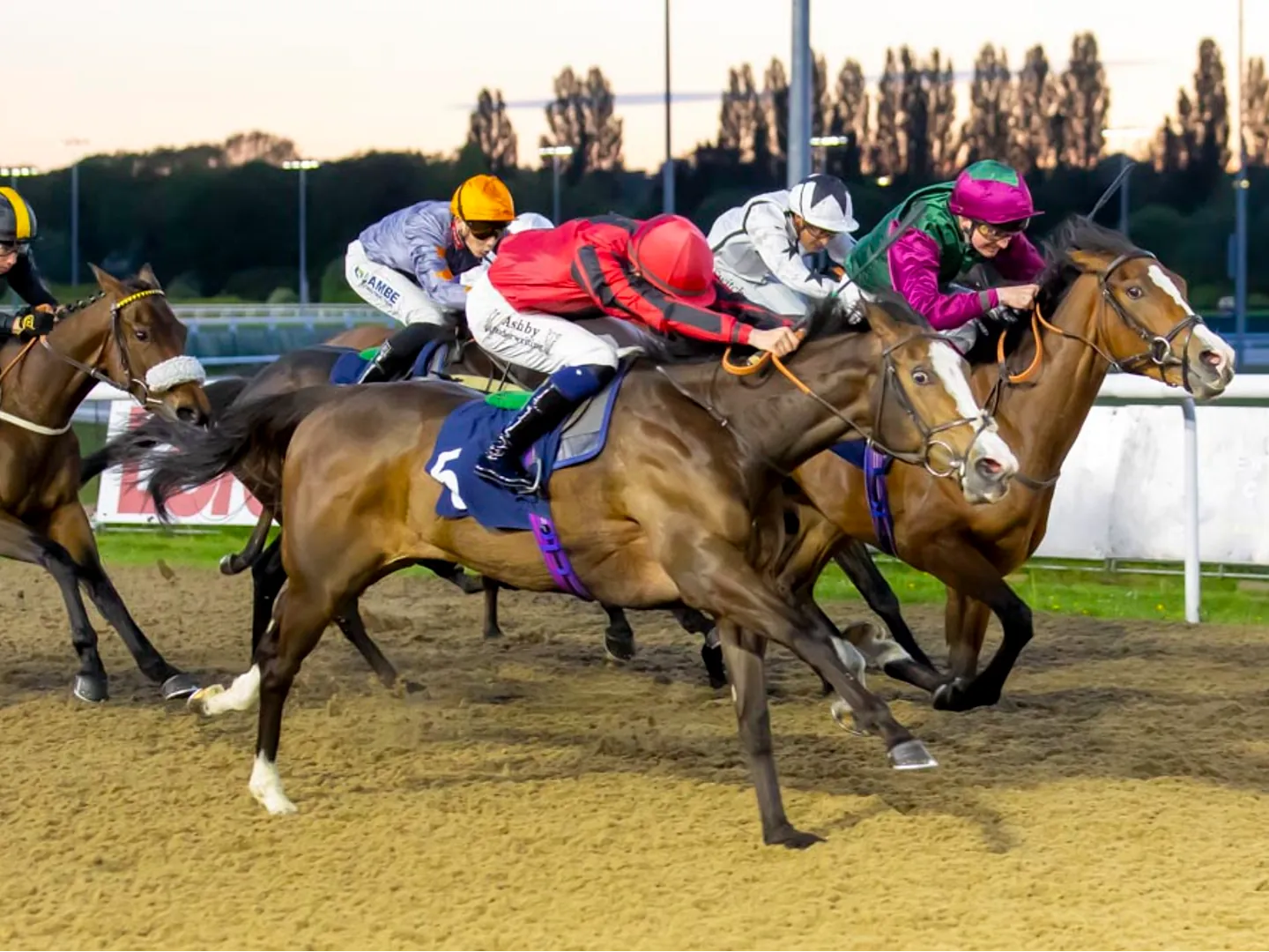 All-weather racing at Wolverhampton Racecourse