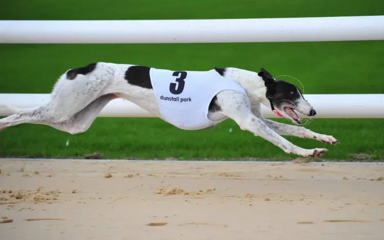 Droopys Kathleen