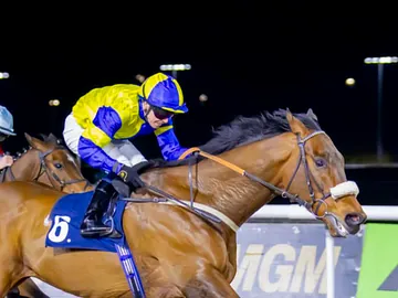 Yorkshire Glory racing at Wolverhampton