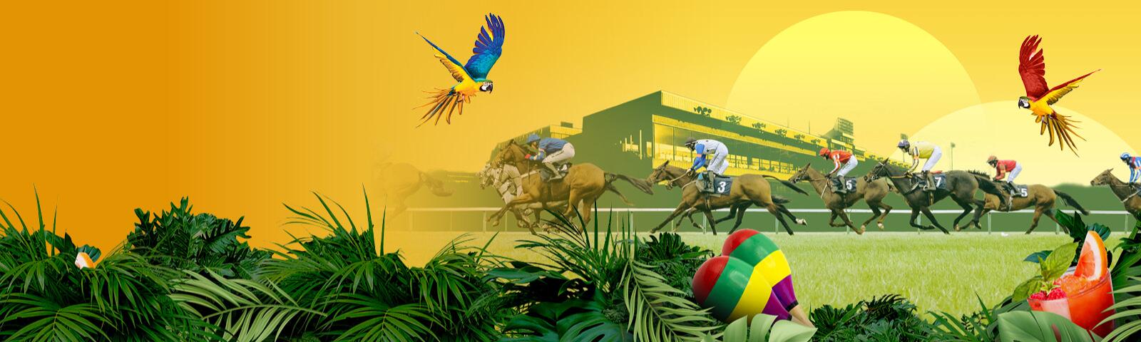 Rum and Reggae Racenight artwork 2026 Wolverhampton 