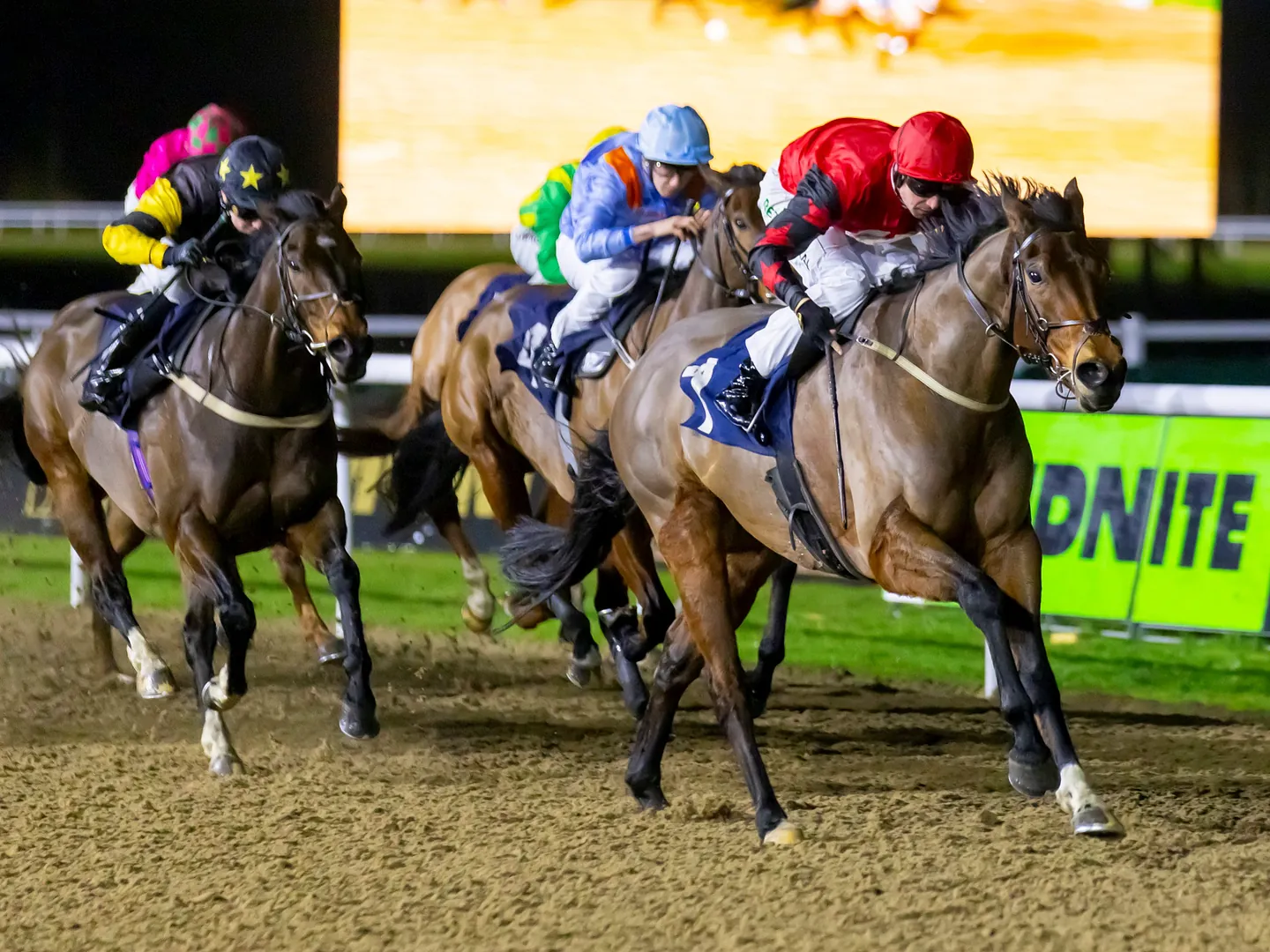 Winter Nights Under The Lights at Wolverhampton Racecourse