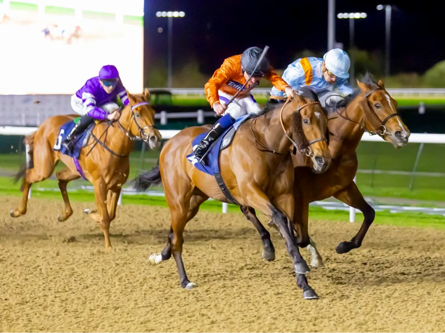 Spring floodlit racing at Wolverhampton Racecourse
