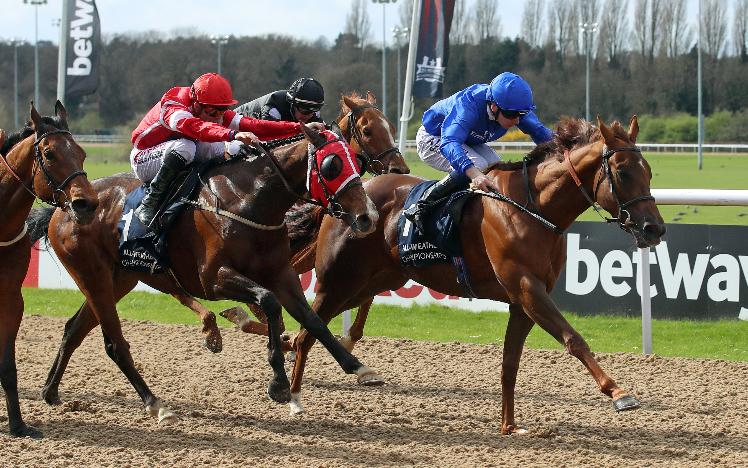 Racing at Wolverhampton Racecourse