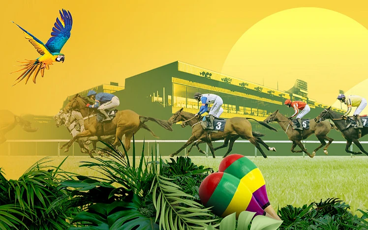 Wolverhampton partner with the ACCI