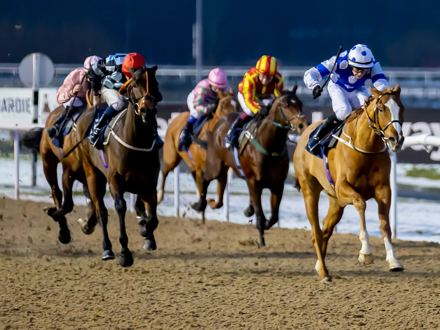 Winter Nights Under The Lights at Wolverhampton Racecourse