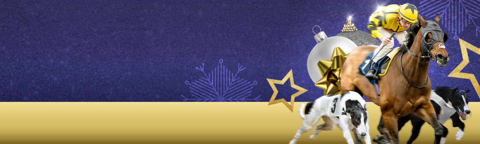 Horse racing and Greyhound racing in Winter at Wolverhampton Racecourse