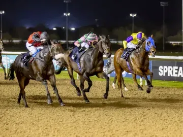 Horses and jockeys race along the track at Wolverhampton during an evening race
