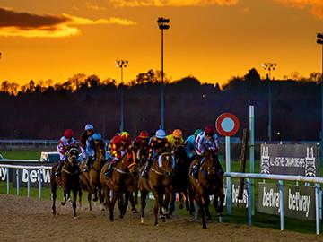 Wolverhampton Racecourse Dunstall Park Wolverhampton Racecourse Dunstall Park