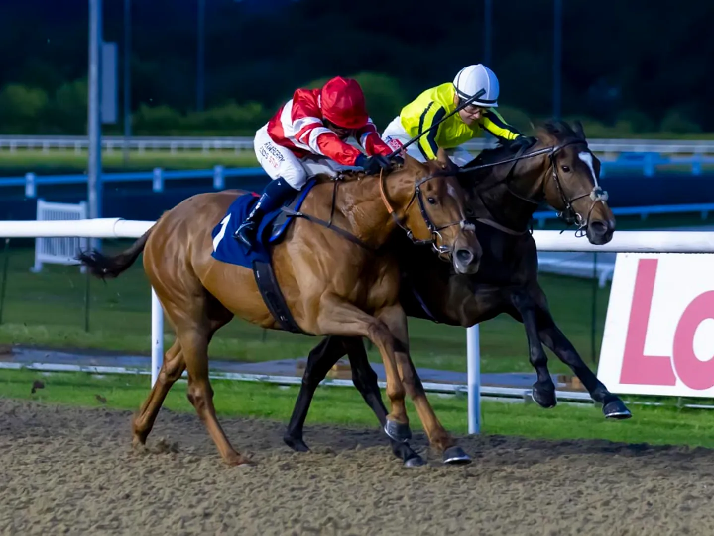 Evening all-weather racing at Wolverhampton Racecourse