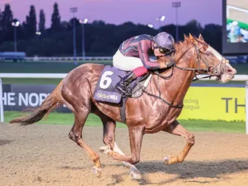 A close up of one horse and jockey racing at Wolverhampton Racecourse