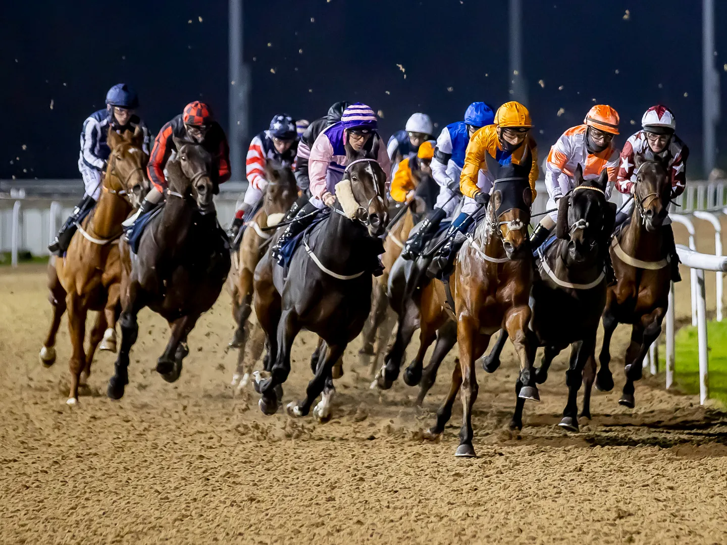 Friday Nights Under The Lights at Wolverhampton Racecourse