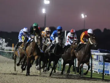 Horses and jockey focus on the finish line at Wolverhampton Racecourse
