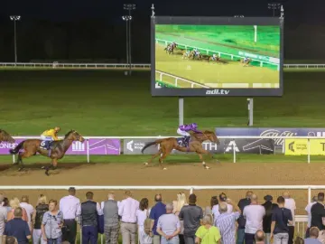 The crowd watch on as horses approach the finish line at Wolverhampton Races