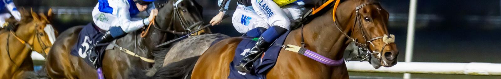 Horse racing at Wolverhampton Racecourse