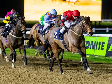 Friday afternoon racing at Wolverhampton Racecourse