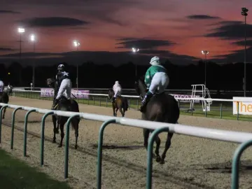 Horses head out to the starting gate at Wolverhampton at sunset