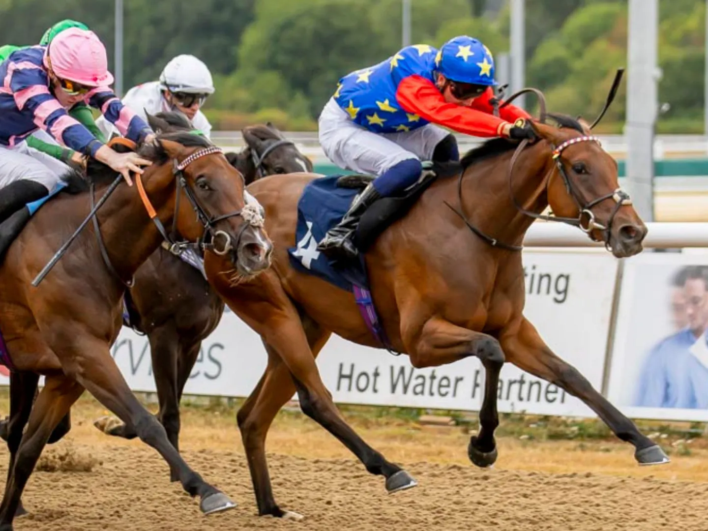 Wolverhampton 26th August flat racing