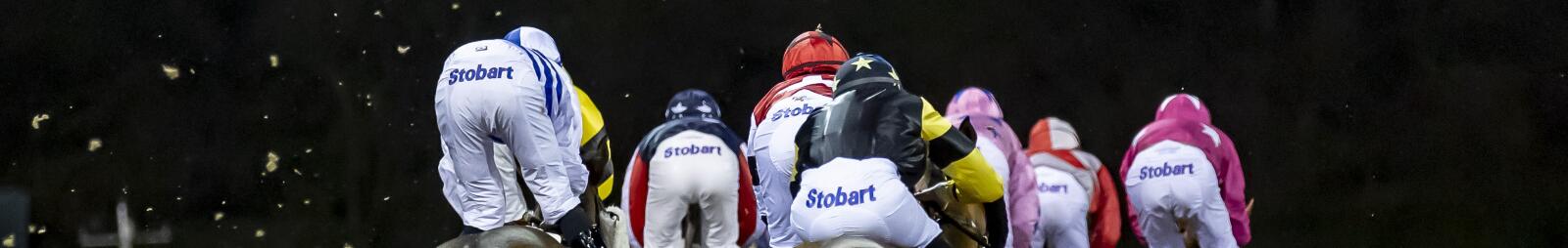 Race horses kick up the all weather track at Wolves as they take on a bend