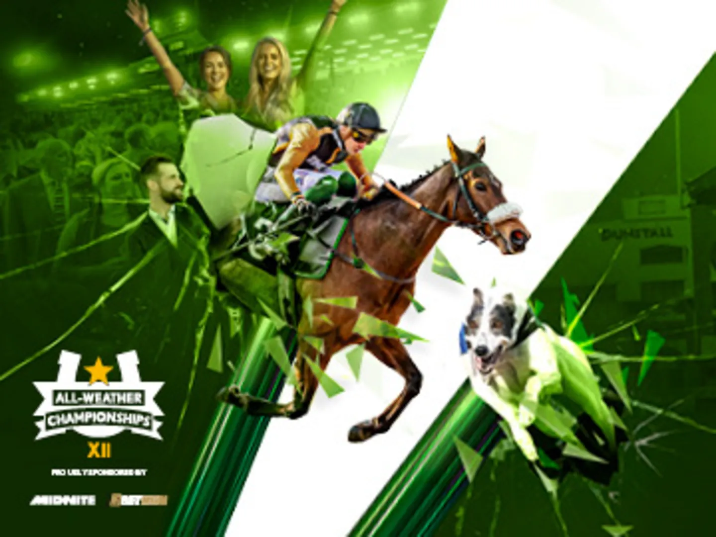 Lady Wulfruna Stakes with horse and greyhound racing