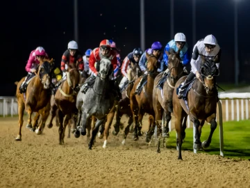 Racehorses racing at Wolverhampton Racecourse on an all-weather track