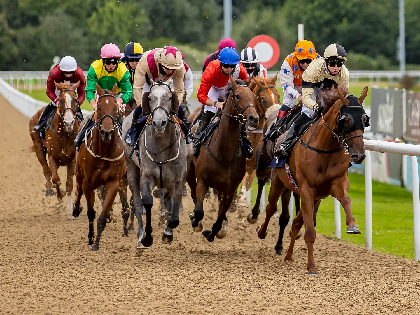 Friday Afternoon Racing at Wolverhampton Racecourse