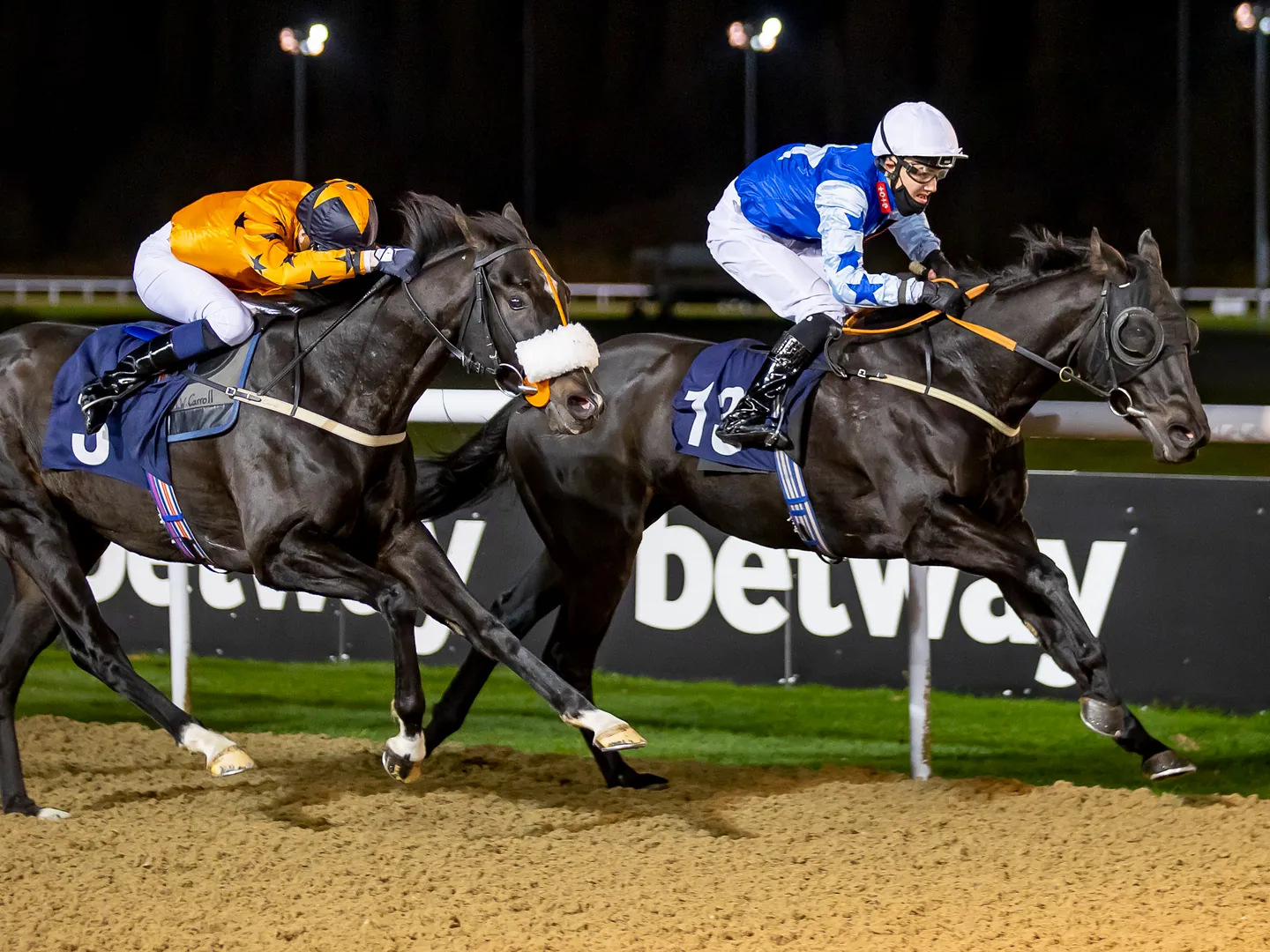 Winter Nights Under The Lights racing at Wolverhampton Racecourse
