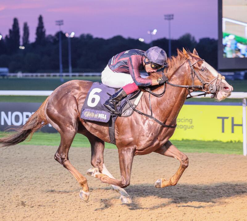 A close up of a horse and jockey at Wolverhampton lit by the floodlights