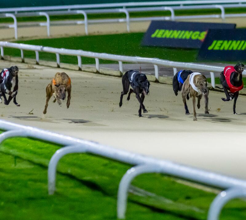 Dunstall Park Greyhound Racing in December