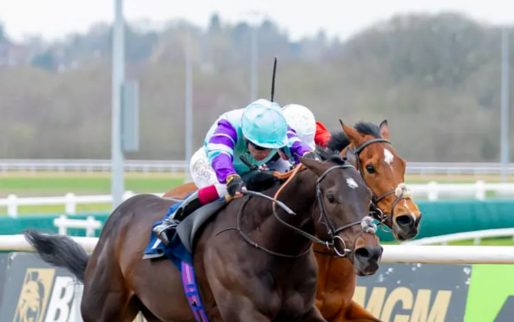 Lady Wulfruna 2026 Winner at Wolverhampton
