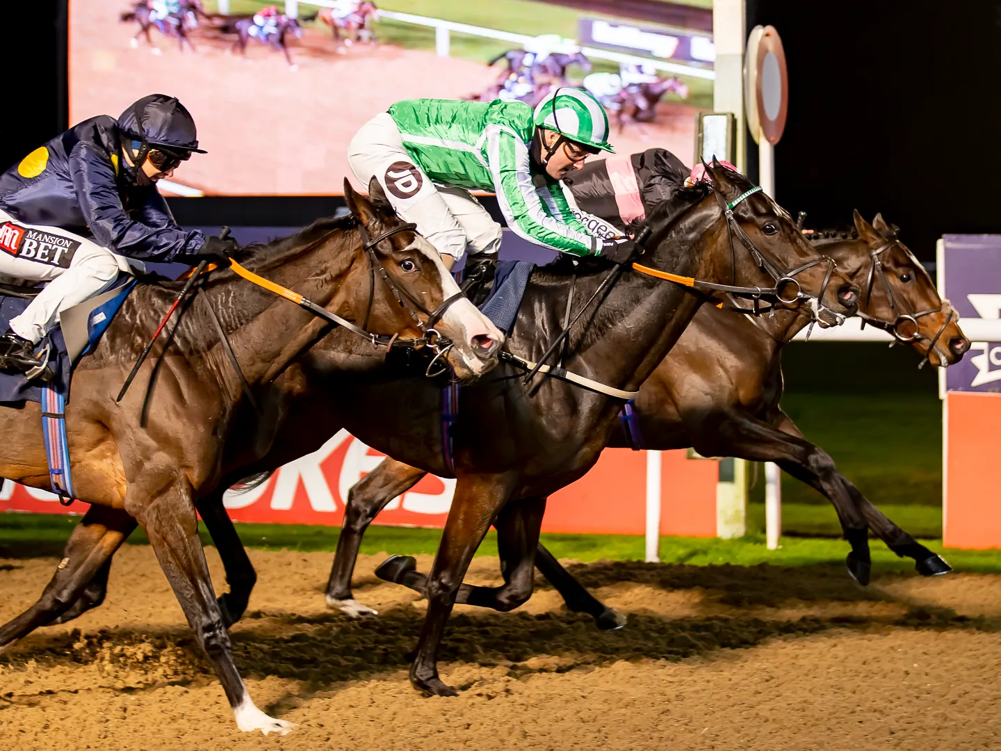 Friday Night Racing at Wolverhampton Racecourse