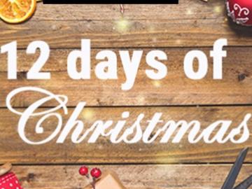 12 Days Of Christmas Competition