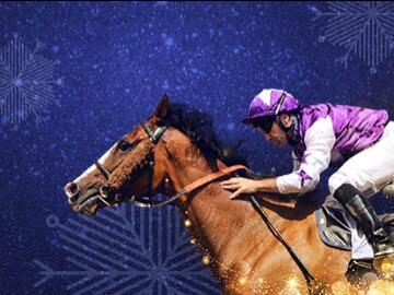 Festive Racing at Wolverhampton Racecourse 2024