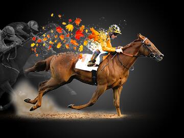 Autumn Floodlit Racing at Wolverhampton Racecourse 2024